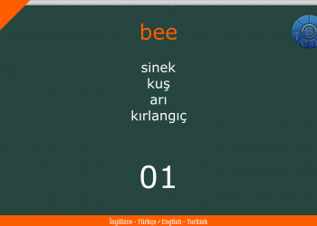Animals – Hayvanlar / İNGİLİZCE – TÜRKÇE / ENGLISH – TURKISH / Test – Quiz – 1