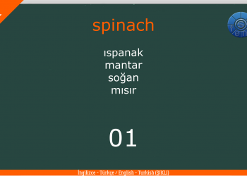 FOOD – YİYECEK (1) / Quiz – Test / Şıklı / (İngilizce – Türkçe / English – Turkish)