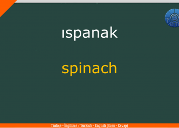 YİYECEK  – FOOD (1) / Test  – Quiz/ Soru Cevap / (Türkçe – İngilizce / Turkish – English)