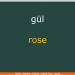 ÇİÇEKLER – FLOWERS –  / Quiz – Test / Soru – Cevap / (Türkçe – İngilizce / Turkish – English)