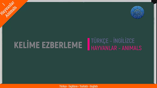 ANIMALS – HAYVANLAR – 1 / ENGLISH – TURKISH / İNGİLİZCE – TÜRKÇE /  Test – Quiz
