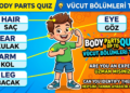 Vücudun Bölümleri – Parts Of The Body (Soru – Cevap)