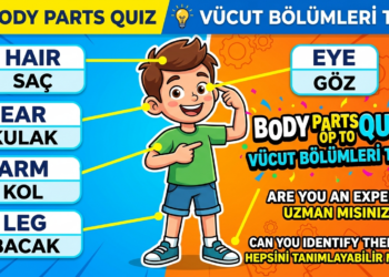 Vücudun Bölümleri – Parts Of The Body (Soru – Cevap)