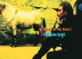 Sting  – Shape Of My Heart (TÜRKÇE ÇEVİRİ)