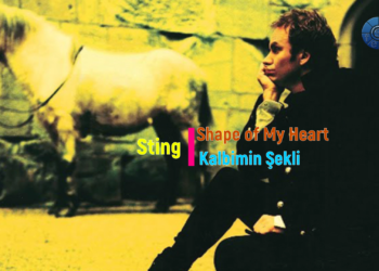 Sting  – Shape Of My Heart (TÜRKÇE ÇEVİRİ)