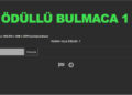 ÖDÜLLÜ BULMACA – 1 (İNGİLİZCE 2. SINIF 6. ÜNİTE Ders Kitabı Kelimeleri)