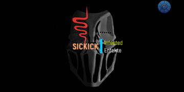 Sickick – Infected (Türkçe Çeviri)