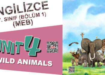 İNGİLİZCE 7. SINIF 4. ÜNİTE (MEB) 1. BÖLÜM – Ders Kitabı İngilizce Kelimelerin Okunuşu ve Anlamları