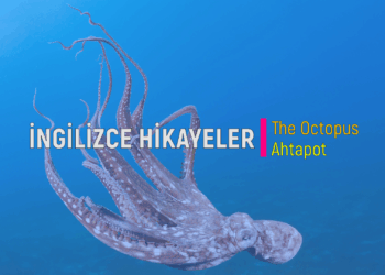 The Octopus – Ahtapot (İNGİLİZCE – TÜRKÇE HİKAYELER)