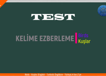 BIRDS – KUŞLAR / Test / (English – Turkish / İngilizce – Türkçe)