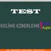 BIRDS – KUŞLAR / Test / (English – Turkish / İngilizce – Türkçe)