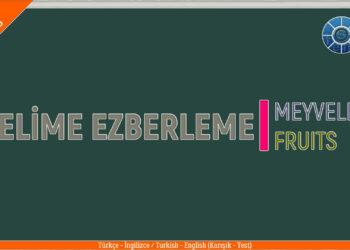 MEYVELER – FRUITS / Test / (Turkish – English / Türkçe – İngilizce)